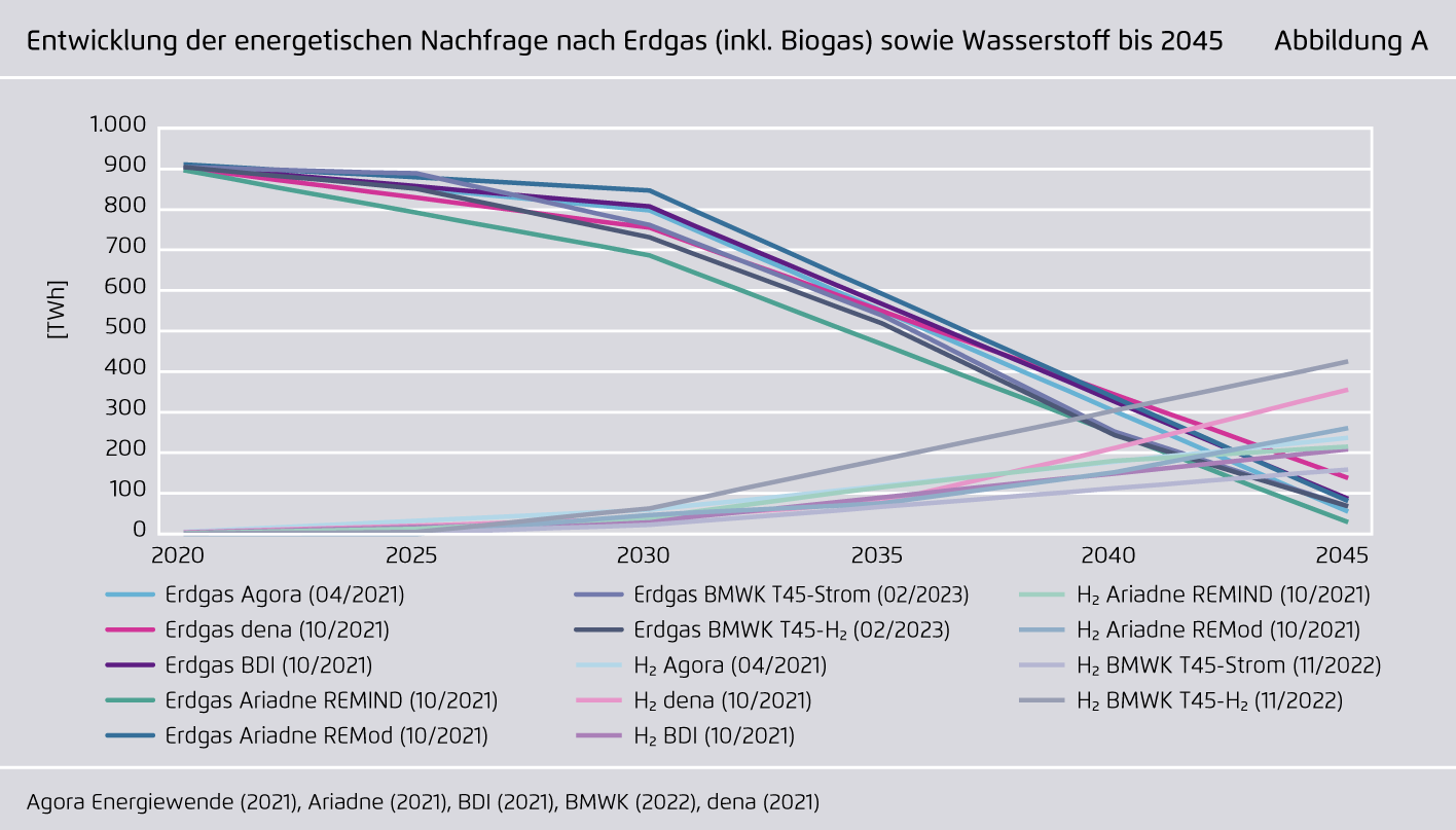 Preview for Entwicklung der energetischen Nachfrage nach Erdgas (inkl. Biogas) sowie Wasserstoff bis 2045