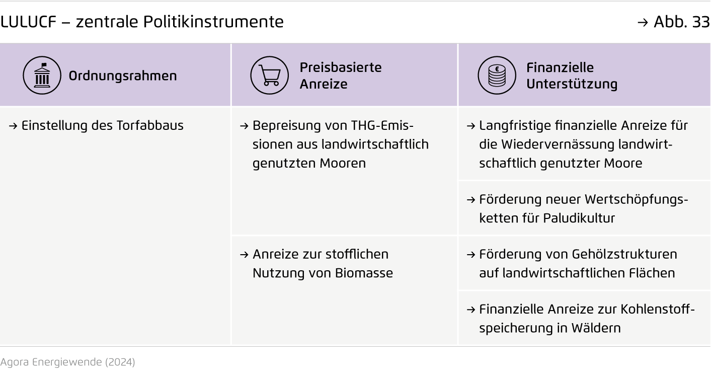Preview for LULUCF – zentrale Politikinstrumente