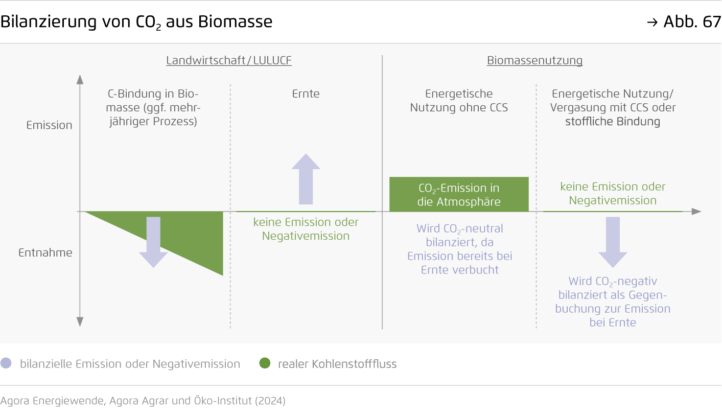 Preview for Bilanzierung von CO₂ aus Biomasse