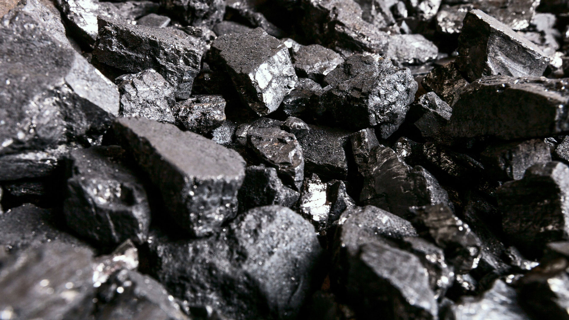 Eleven Principles for a Consensus on Coal (Short Version)