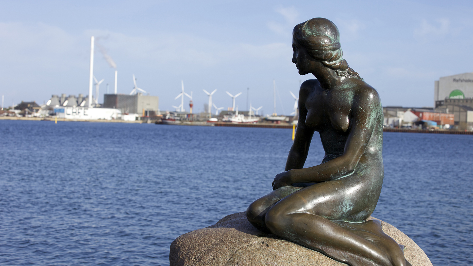 A Snapshot of the Danish Energy Transition