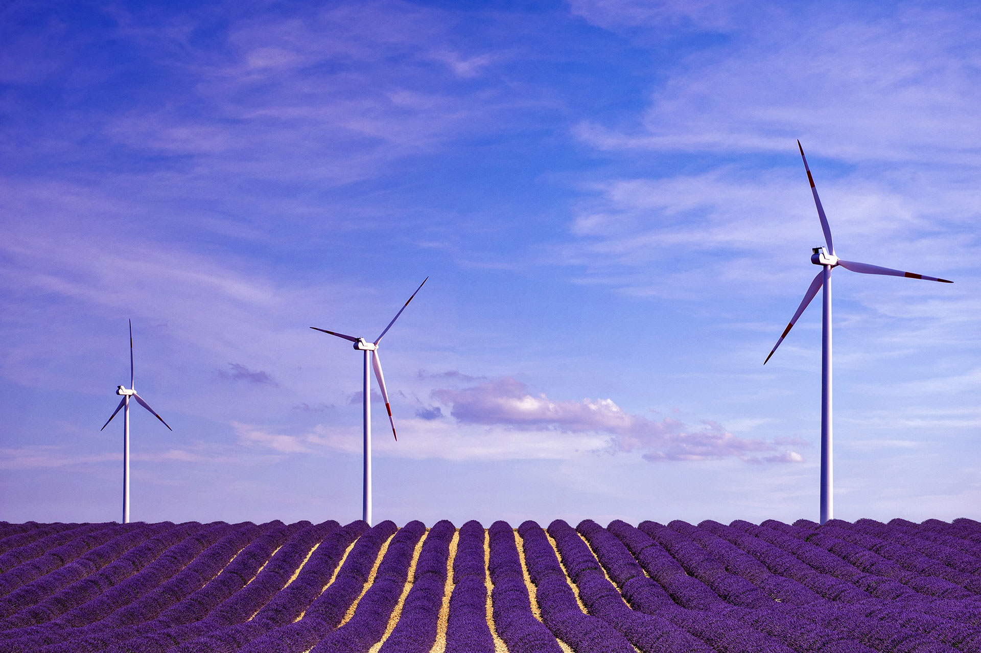 Finanzierung für Erneuerbare Energien in Frankreich: in welcher Höhe und welcher Form? Finanzierung für Erneuerbare Energien in Frankreich: in welcher Höhe und welcher Form?