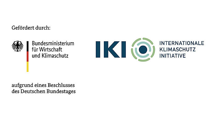 Internationale Klimaschutzinitiative (IKI)