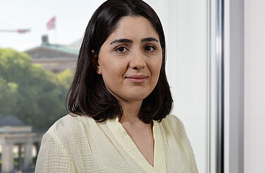 Fahimeh Beigi