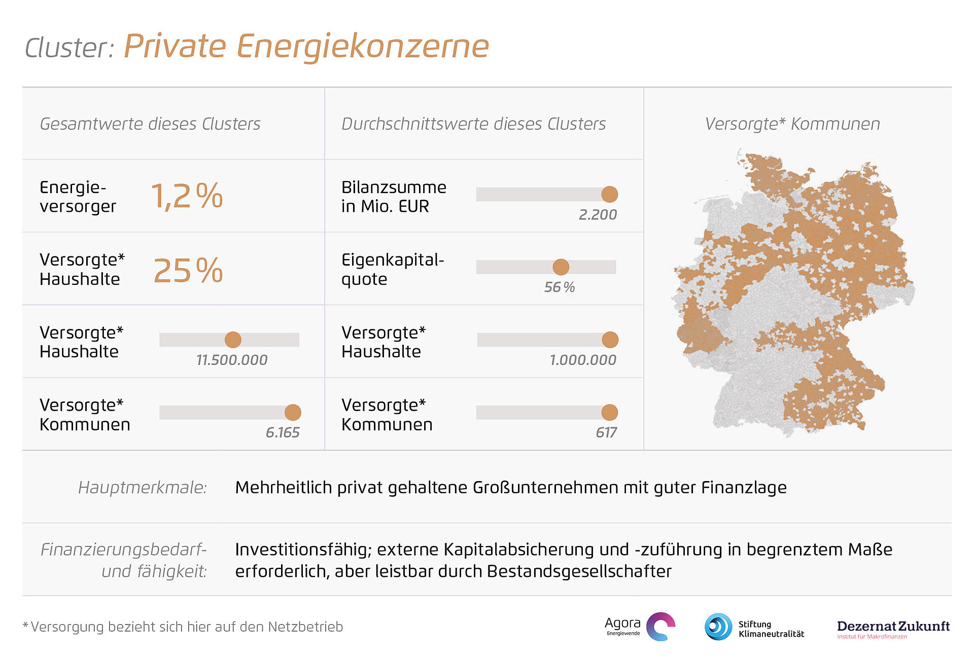 Private Energiekonzerne – finanzstarke überregionale Netzbetreiber mit gutem Kapitalmarktzugang